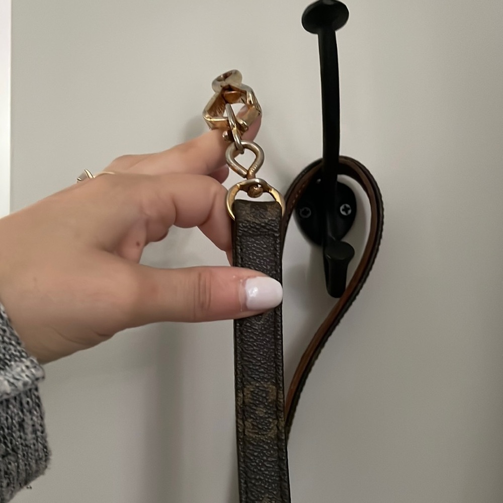 Louis Vuitton Dog Leash